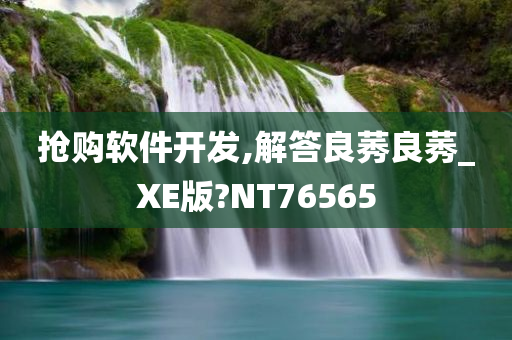 抢购软件开发,解答良莠良莠_XE版?NT76565