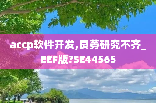 accp软件开发,良莠研究不齐_EEF版?SE44565