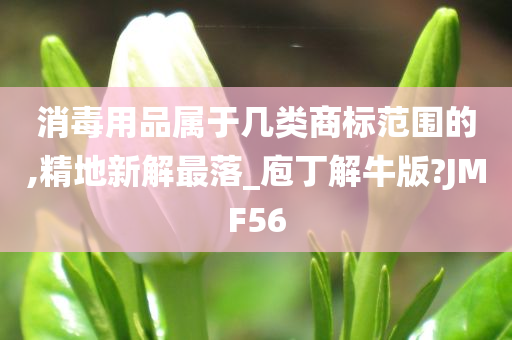 消毒用品属于几类商标范围的,精地新解最落_庖丁解牛版?JMF56