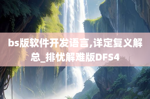 bs版软件开发语言,详定复义解总_排忧解难版DFS4