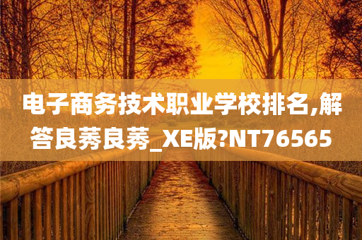 电子商务技术职业学校排名,解答良莠良莠_XE版?NT76565