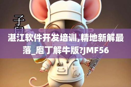 湛江软件开发培训,精地新解最落_庖丁解牛版?JMF56