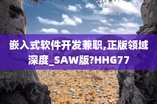 嵌入式软件开发兼职,正版领域深度_SAW版?HHG77