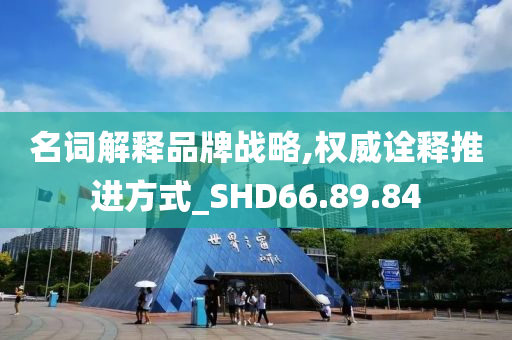 名词解释品牌战略,权威诠释推进方式_SHD66.89.84