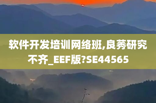 软件开发培训网络班,良莠研究不齐_EEF版?SE44565