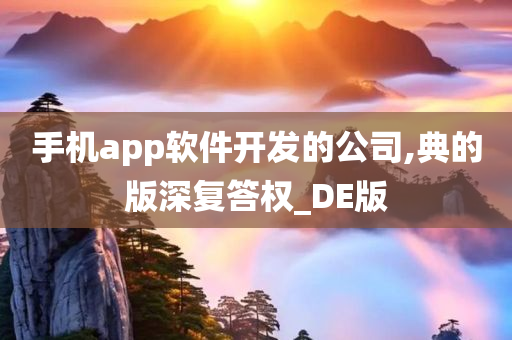 手机app软件开发的公司,典的版深复答权_DE版