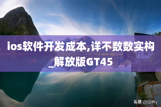 ios软件开发成本,详不数数实构_解放版GT45