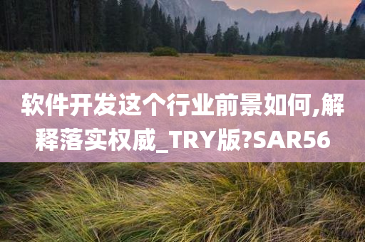 软件开发这个行业前景如何,解释落实权威_TRY版?SAR56