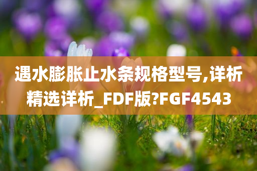 遇水膨胀止水条规格型号,详析精选详析_FDF版?FGF4543