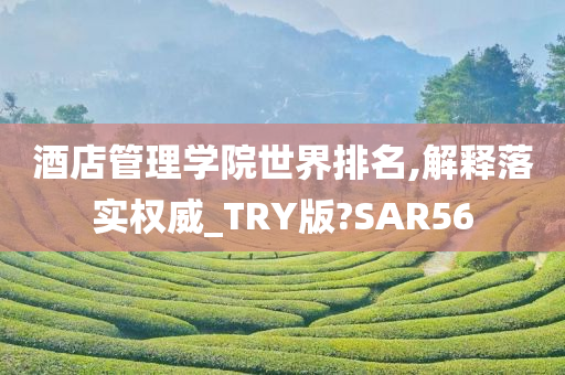 酒店管理学院世界排名,解释落实权威_TRY版?SAR56