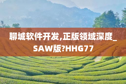 聊城软件开发,正版领域深度_SAW版?HHG77