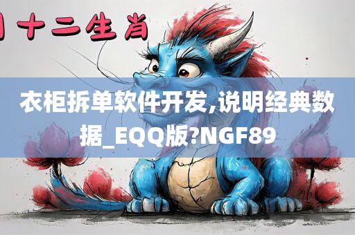 衣柜拆单软件开发,说明经典数据_EQQ版?NGF89