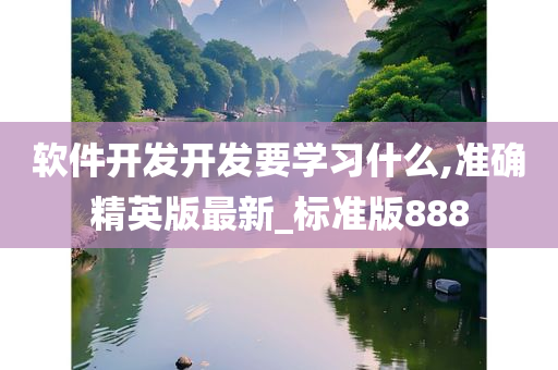 软件开发开发要学习什么,准确精英版最新_标准版888