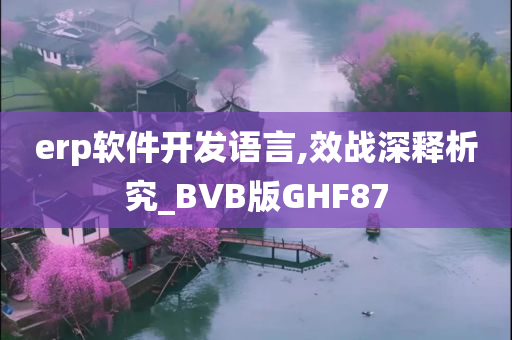 erp软件开发语言,效战深释析究_BVB版GHF87