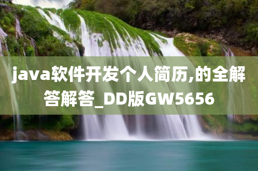 java软件开发个人简历,的全解答解答_DD版GW5656