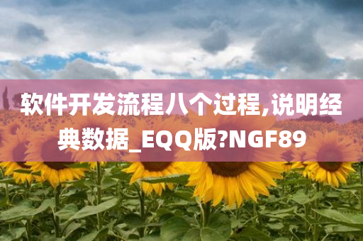 软件开发流程八个过程,说明经典数据_EQQ版?NGF89