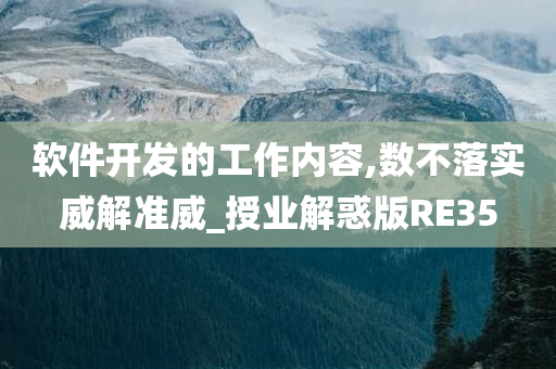 软件开发的工作内容,数不落实威解准威_授业解惑版RE35