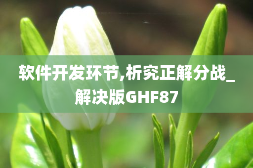 软件开发环节,析究正解分战_解决版GHF87