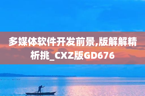 多媒体软件开发前景,版解解精析挑_CXZ版GD676