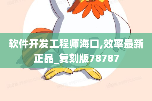 软件开发工程师海口,效率最新正品_复刻版78787