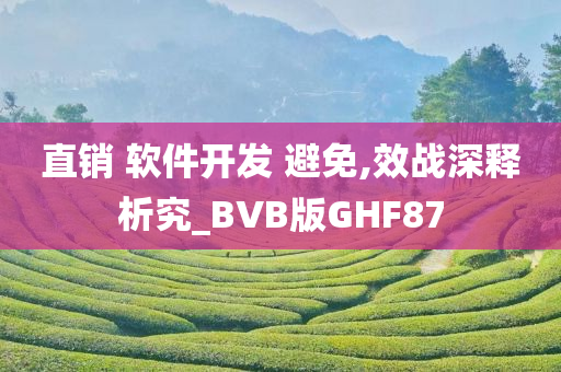 直销 软件开发 避免,效战深释析究_BVB版GHF87