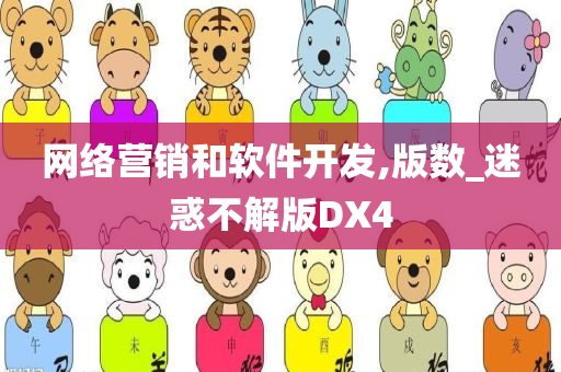 网络营销和软件开发,版数_迷惑不解版DX4