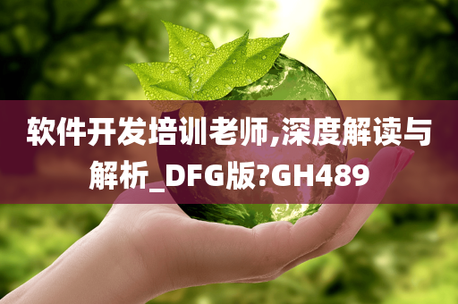 软件开发培训老师,深度解读与解析_DFG版?GH489