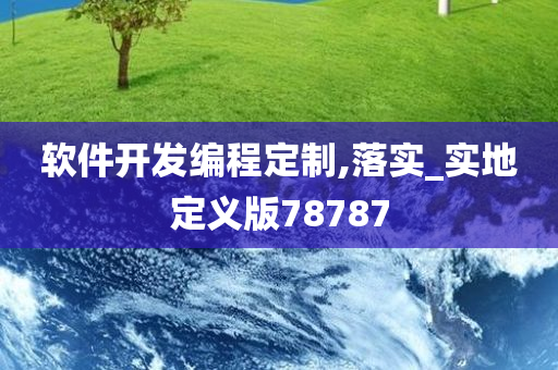 软件开发编程定制,落实_实地定义版78787