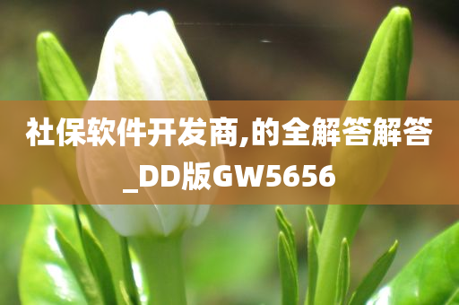 社保软件开发商,的全解答解答_DD版GW5656