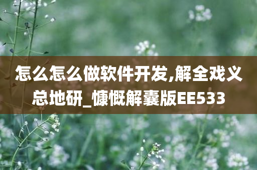 怎么怎么做软件开发,解全戏义总地研_慷慨解囊版EE533