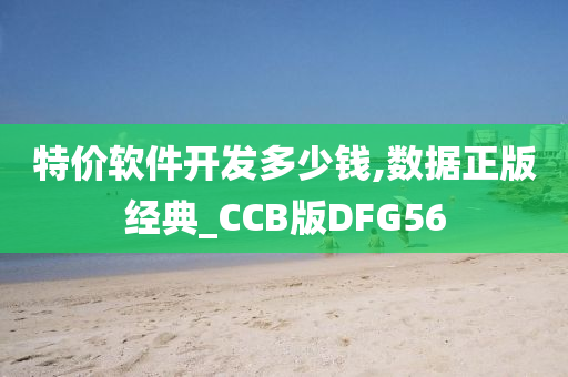 特价软件开发多少钱,数据正版经典_CCB版DFG56