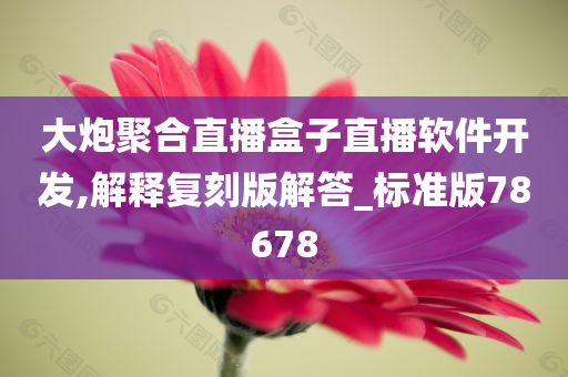 大炮聚合直播盒子直播软件开发,解释复刻版解答_标准版78678