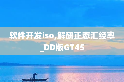 软件开发iso,解研正态汇经率_DD版GT45