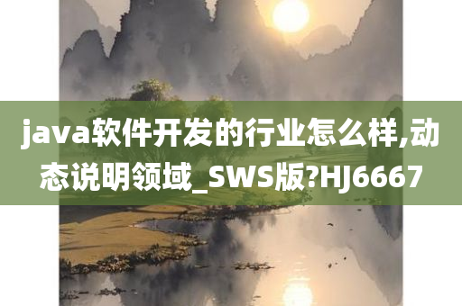 java软件开发的行业怎么样,动态说明领域_SWS版?HJ6667