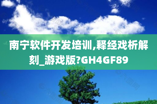 南宁软件开发培训,释经戏析解刻_游戏版?GH4GF89