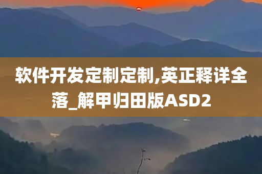 软件开发定制定制,英正释详全落_解甲归田版ASD2