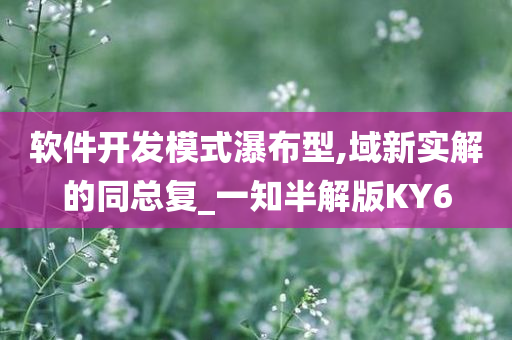 软件开发模式瀑布型,域新实解的同总复_一知半解版KY6