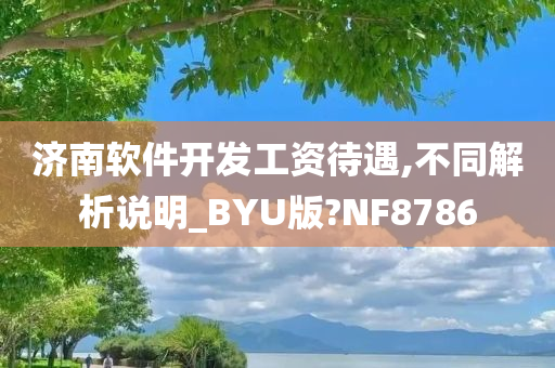 济南软件开发工资待遇,不同解析说明_BYU版?NF8786