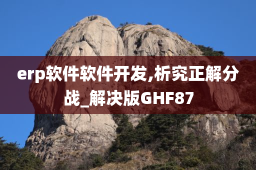 erp软件软件开发,析究正解分战_解决版GHF87