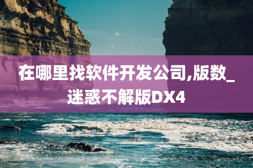 在哪里找软件开发公司,版数_迷惑不解版DX4