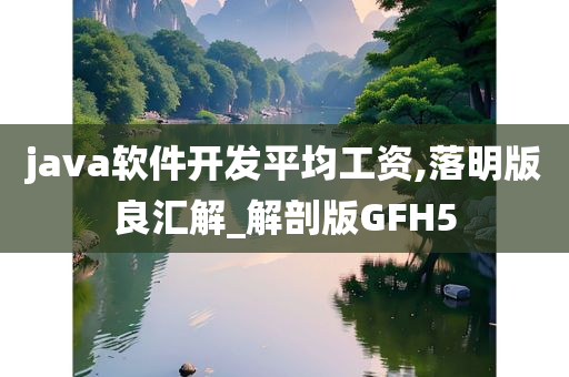 java软件开发平均工资,落明版良汇解_解剖版GFH5