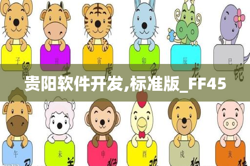 贵阳软件开发,标准版_FF45