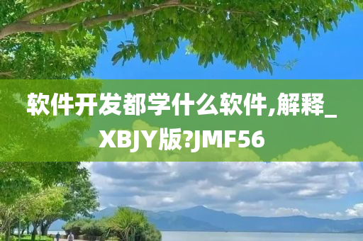 软件开发都学什么软件,解释_XBJY版?JMF56