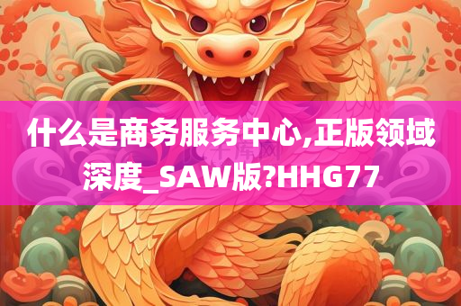 什么是商务服务中心,正版领域深度_SAW版?HHG77