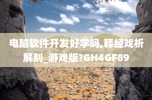 电脑软件开发好学吗,释经戏析解刻_游戏版?GH4GF89