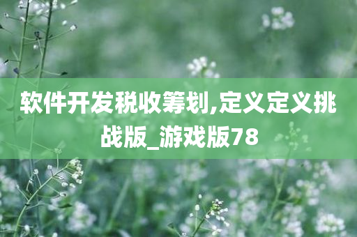 软件开发税收筹划,定义定义挑战版_游戏版78