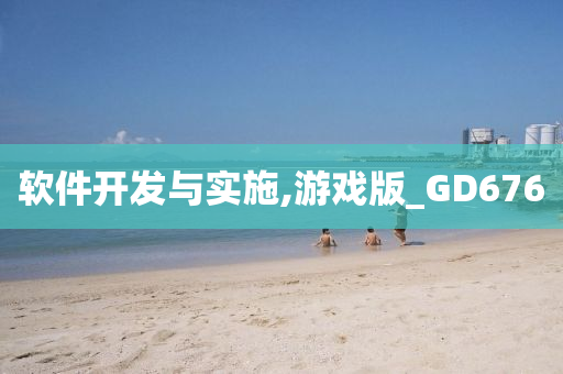 软件开发与实施,游戏版_GD676