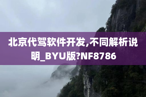 北京代驾软件开发,不同解析说明_BYU版?NF8786