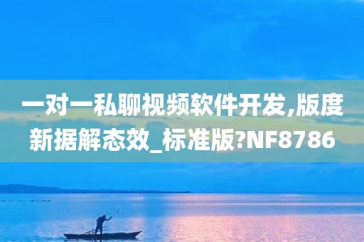 一对一私聊视频软件开发,版度新据解态效_标准版?NF8786