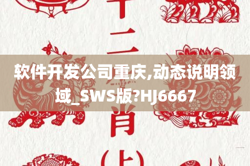 软件开发公司重庆,动态说明领域_SWS版?HJ6667